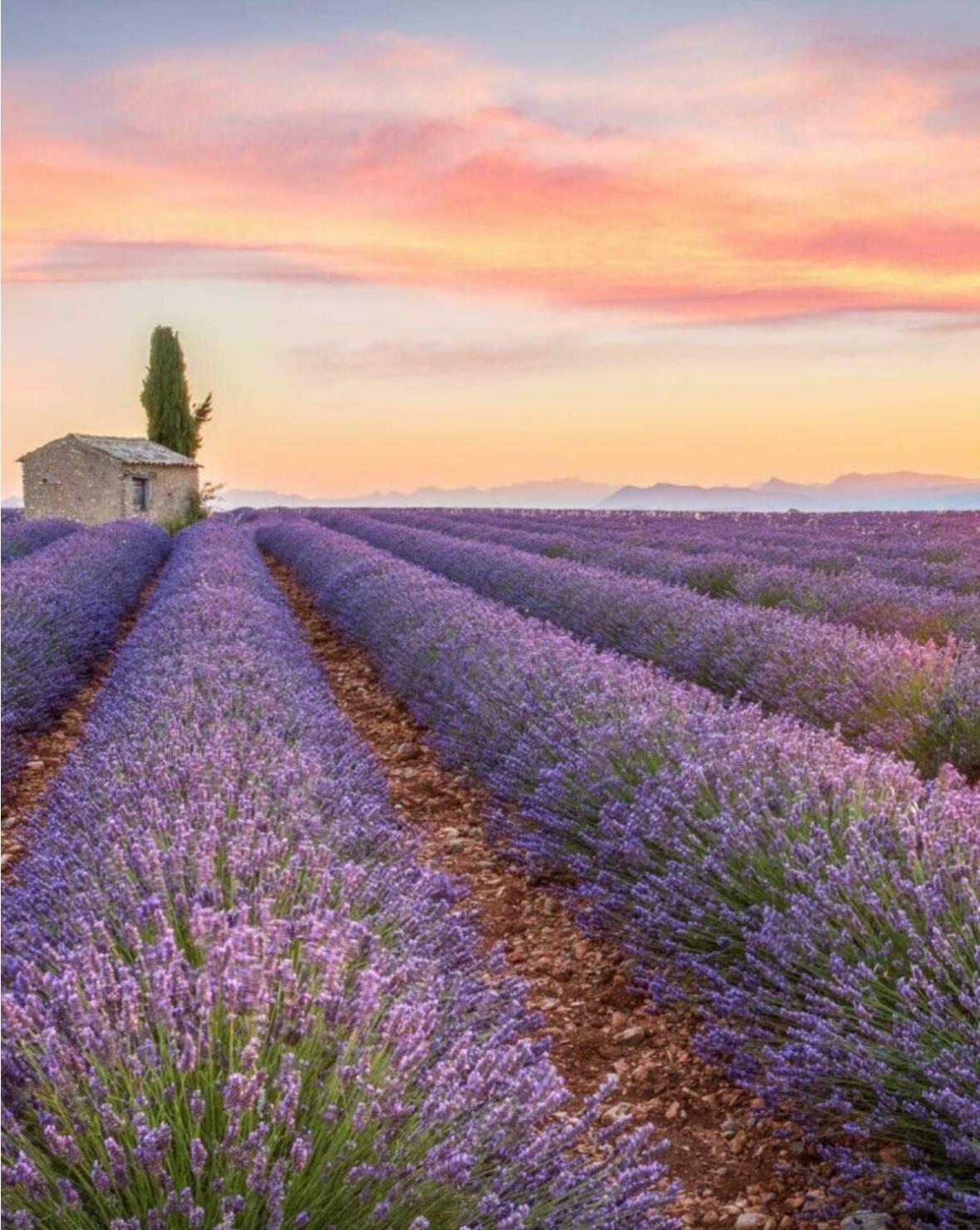 Fuvolea, Maison De Vacances A 15 Min Du Centre D'Aix-En-Provence, Piscine Chauffee En Saison - Jardin - Parking Prive Gratuit Fuveau Exterior foto